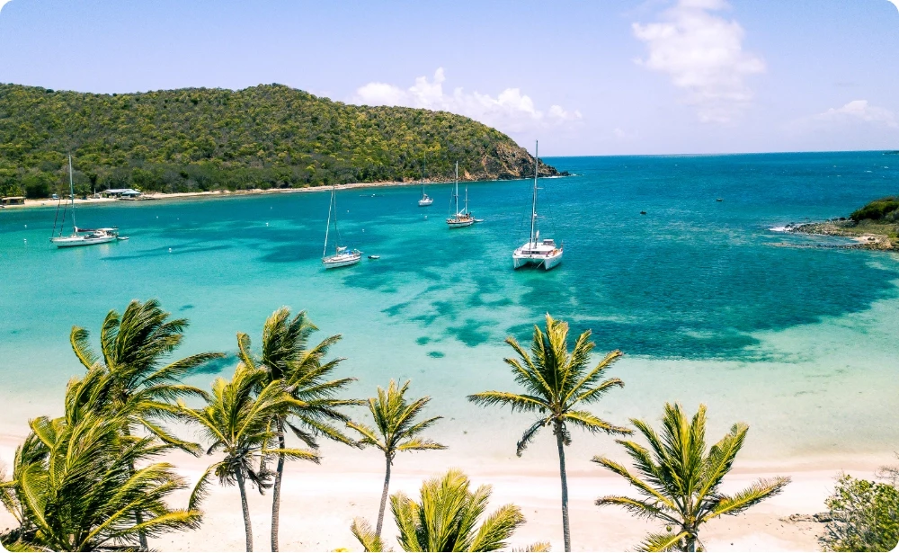 Barche a vela e catamarano all'ancora in una baia caraibica circondata da palme da cocco e acque turchesi