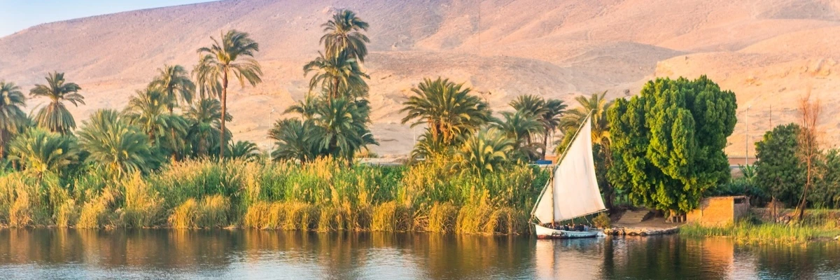 Feluca tradizionale a vela bianca in navigazione sul Nilo lungo una riva costeggiata da palme e canne, colline desertiche sullo sfondo, Alto Egitto
