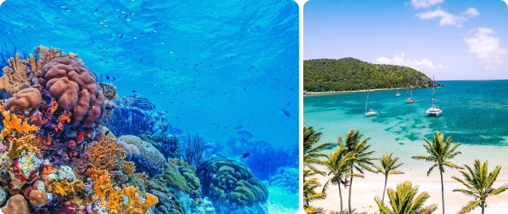 Récif corallien coloré et voiliers au mouillage dans une baie des Caraïbes bordée de cocotiers