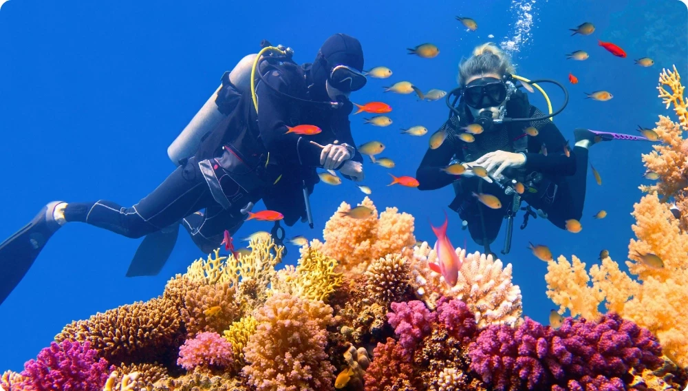 Deux plongeurs au-dessus d'un récif corallien coloré peuplé de poissons tropicaux