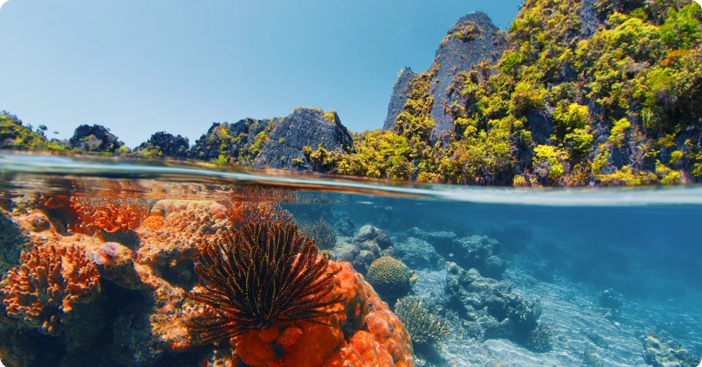 Vue mi-air mi-eau sur les pitons karstiques et les coraux colorés de Raja Ampat en Indonésie