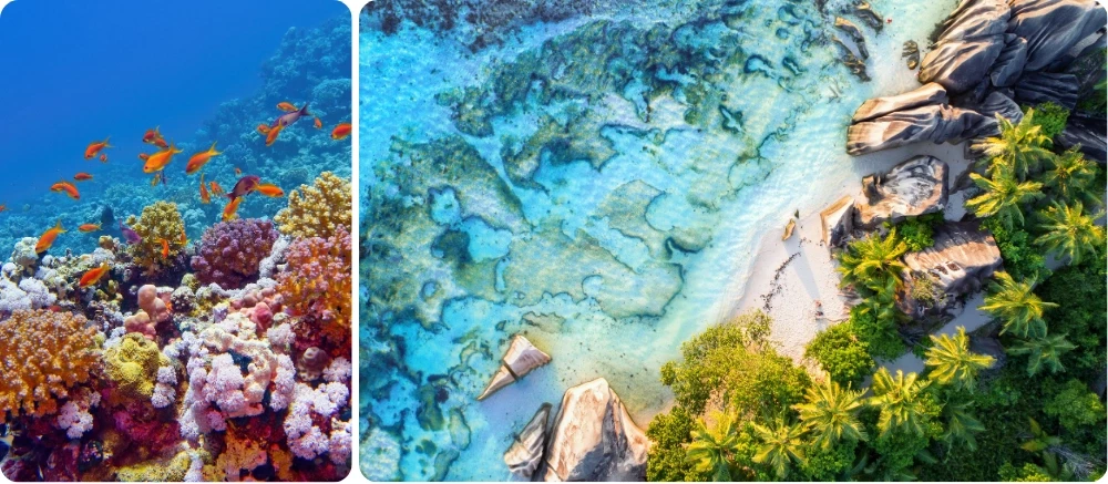 Récif corallien avec poissons orange et plage granitique vue du ciel aux Seychelles