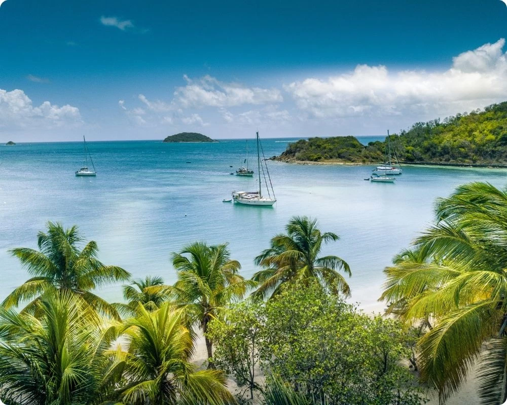 Voiliers au mouillage dans une baie turquoise des Antilles vue à travers les cocotiers d'une plage de sable blanc, eaux calmes et îlots verdoyants à l'horizon