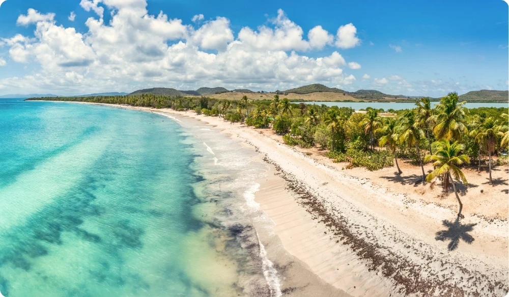 Croisière en Martinique : plage des Salines à Sainte-Anne, longue étendue de sable blanc bordée de cocotiers et eaux turquoise du sud de l'île