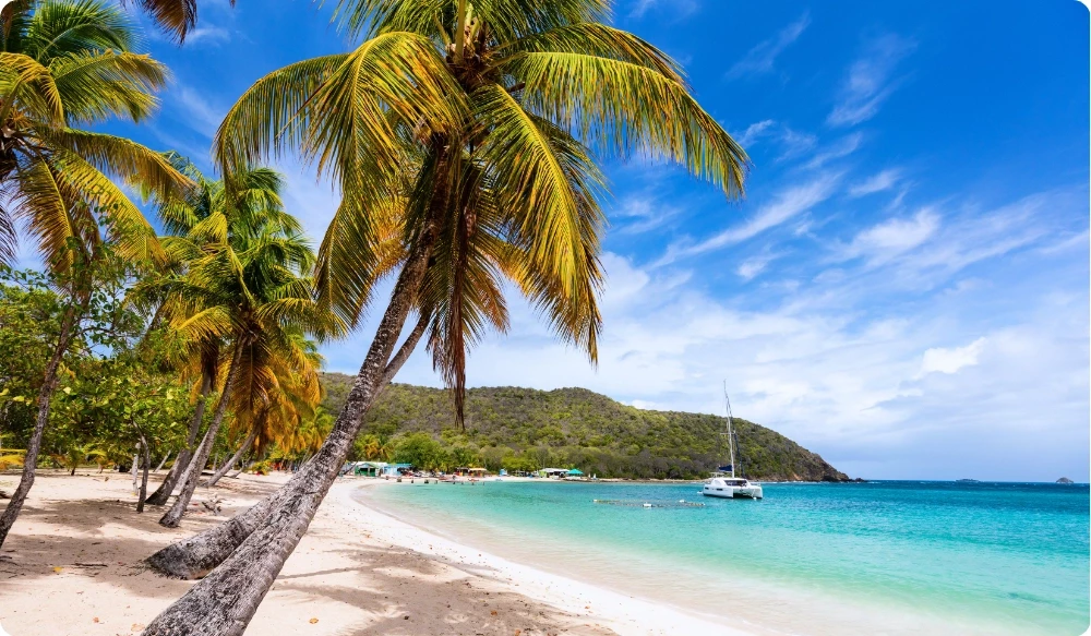 Croisière dans les Grenadines : plage de Mayreau bordée de cocotiers penchés, sable blanc et catamaran au mouillage sur une eau turquoise