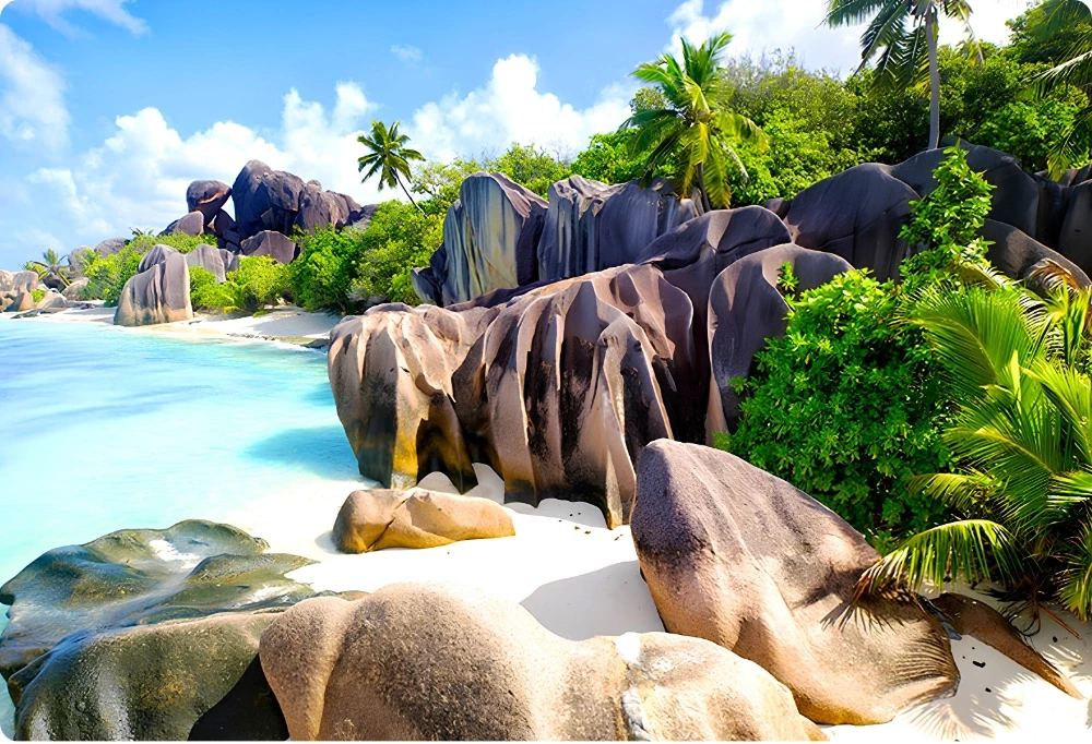 Plage des Seychelles bordée de rochers de granit sculptés, de palmiers luxuriants et d'une eau turquoise cristalline sous un ciel bleu ensoleillé.