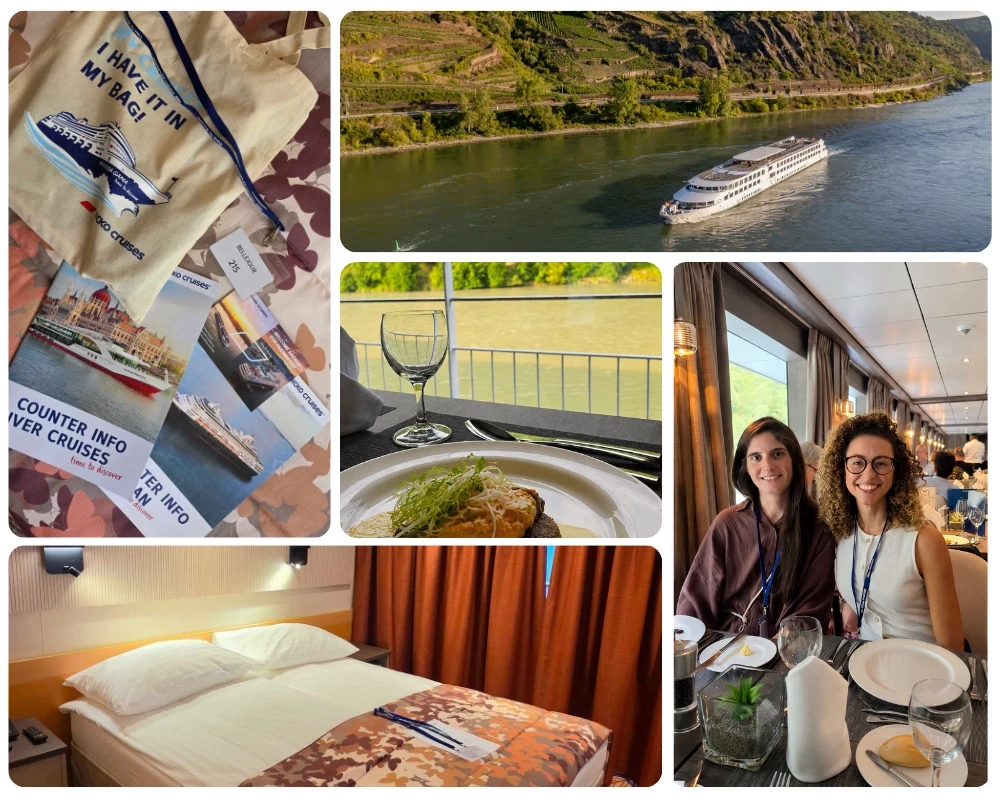 Mosaïque de photos de la croisière sur le Danube