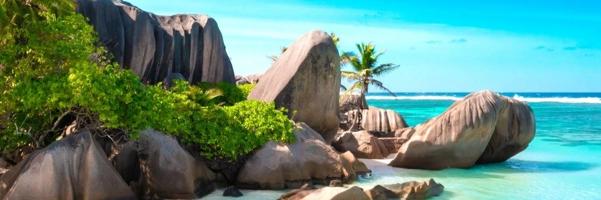 Formazioni di granito scolpite che costeggiano la laguna di Anse Source d'Argent, sull'isola di La Digue, con acque turchesi cristalline e una palma da cocco alle Seychelles.