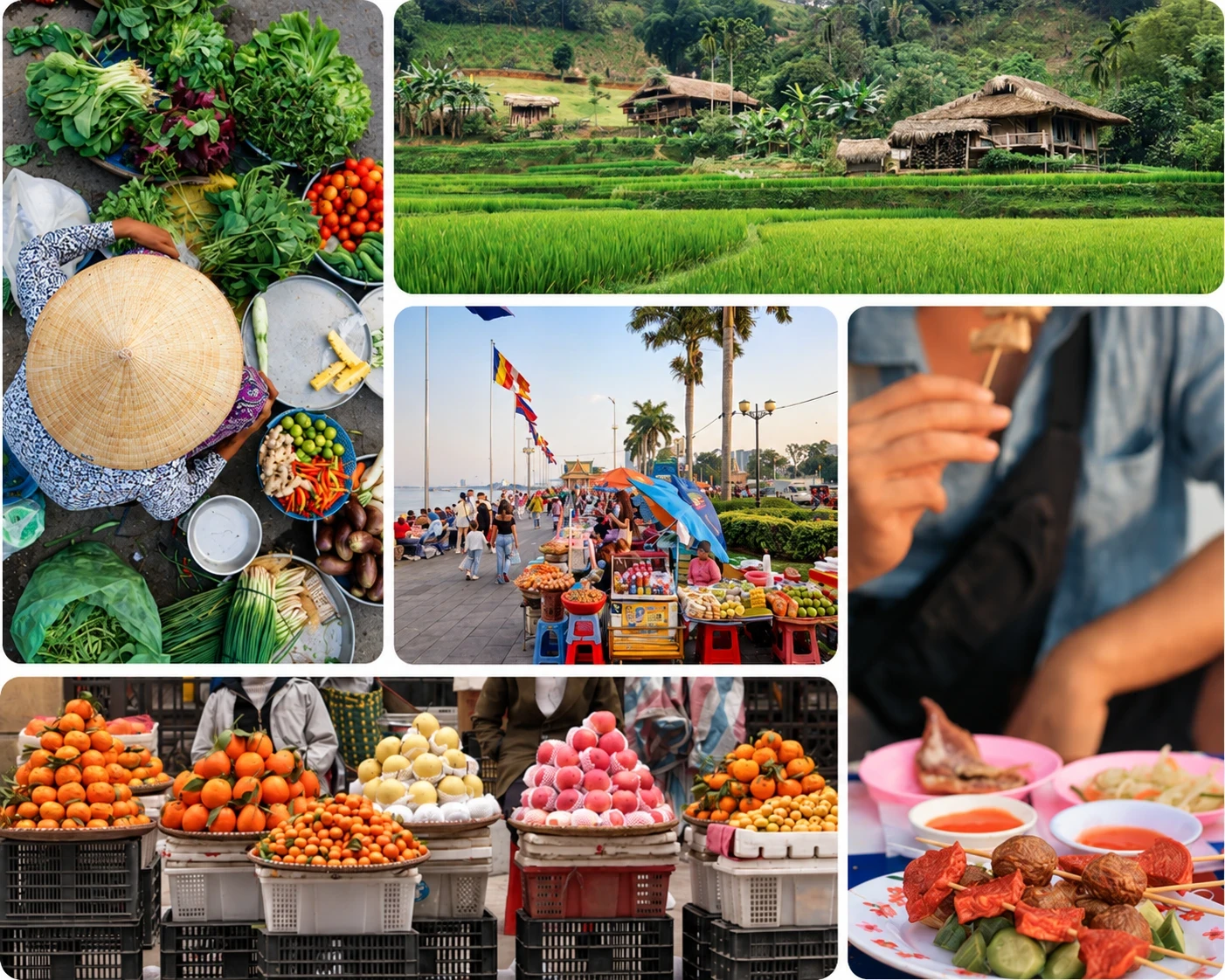 Street food et rizi&egrave;re en Asie du Sud-Est
