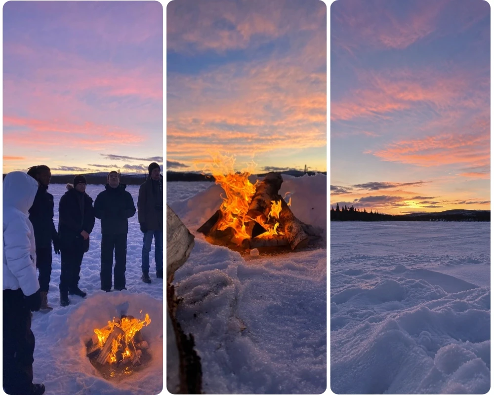 Mosaïque de photos de Chloé durant ses voyages en terres polaires (Laponie, Islande, Norvège...)