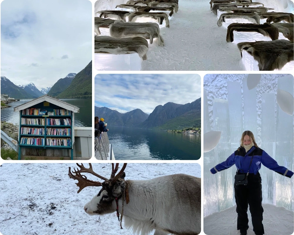 Mosaïque de photos de Chloé durant ses voyages en terres polaires (Laponie, Islande, Norvège...)